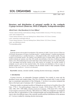 Structure and distribution of antennal sensilla in the centipede