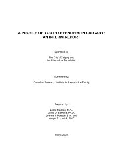 March 2008 A Profile of Youth Offenders in Calgary – An Interim