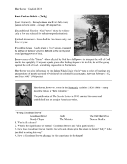 Tulip - David Lavery