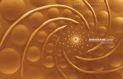 2011 Annual Report - Adrienne Arsht Center