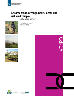 Sesame trade arrangements, costs and risks in Ethiopia