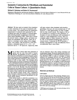 Isometric Contraction by Fibroblasts and Endothelial Cells in Tissue