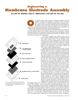 Engineering a Membrane Electrode Assembly