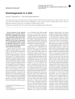 Gametogenesis in a dish