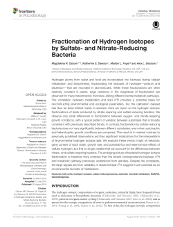 Fractionation of Hydrogen Isotopes by Sulfate- and