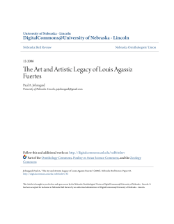 The Art and Artistic Legacy of Louis Agassiz Fuertes