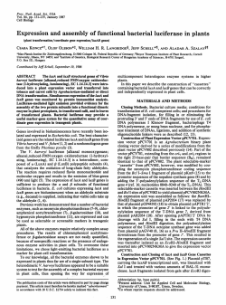 Expression and assembly of functional bacterial luciferase in plants