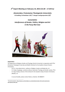 Expert Meeting on November 29, 2012 (13