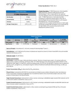 T7 DNA Polymerase