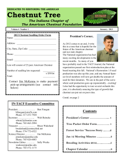 2013 Newsletter - The American Chestnut Foundation
