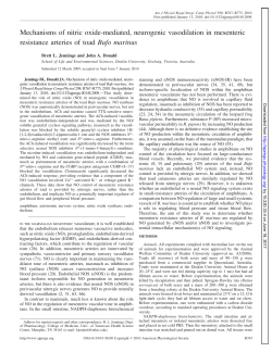Mechanisms of nitric oxide-mediated, neurogenic vasodilation in