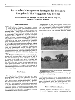 Management Strategies for Mesquite Rangeland