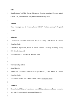 Monroig (Octopus Delta5) corrected+DRT - STORRE