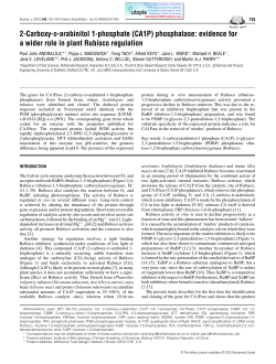 2-Carboxy-D-arabinitol 1-phosphate (CA1P) phosphatase: evidence