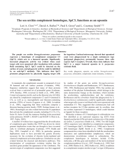 The sea urchin complement homologue, SpC3, functions as an