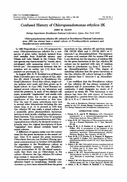 Confused History of Chloropseudomonas ethylica 2K