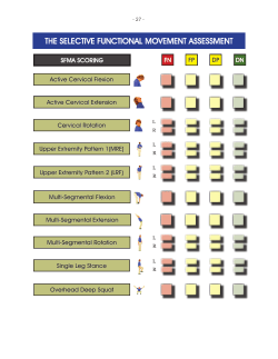 SFMA Flow Charts