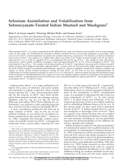 Selenium Assimilation and Volatilization from