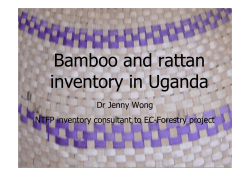 Bamboo and rattan inventory in Uganda