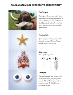 The Tongue The tongue is the strongest muscle in the human body