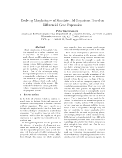 Evolving Morphologies of Simulated 3d Organisms Based on