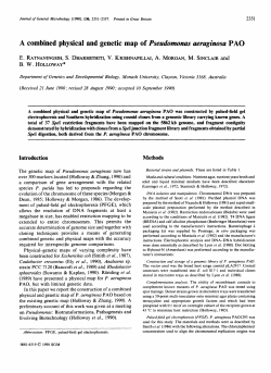 A combined physical and genetic map of