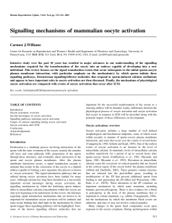Signalling mechanisms of mammalian oocyte activation