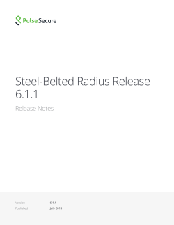 Steel-Belted Radius Release 6.1.1