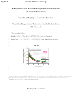 Modeling of Nitrous Oxide Production by Autotrophic