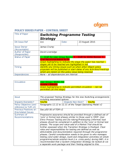 DS Testing Strategy Final Product Blueprint Phase v0 8 for User Group