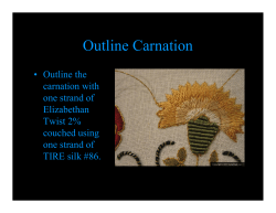 Carnation Candy Cone