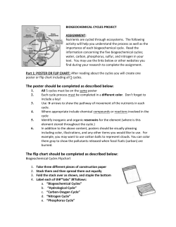Biogeochemical+Cycle+Poster Revised 2013.doc.docx