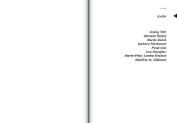 studie Andrej T&oacute;th Miroslav &Scaron;ediv&yacute; Martin Boček Barbora