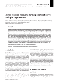 Motor function recovery during peripheral nerve multiple regeneration
