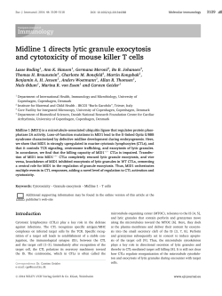 Midline 1 directs lytic granule exocytosis and cytotoxicity of mouse