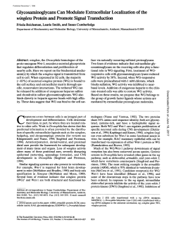 Glycosaminoglycans Can Modulate ExtraceUular Localization of the