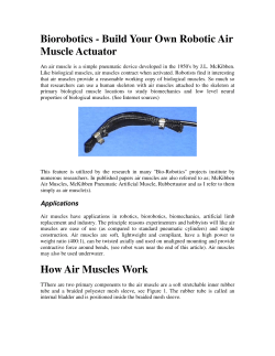Biorobotics - Build Your Own Robotic Air Muscle
