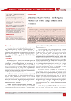 Entamoeba histolytica - pathogenic protozoan of the large intestine