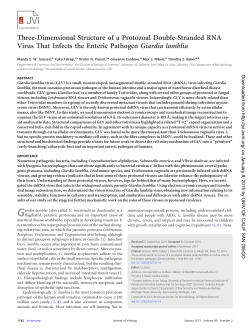 Three-Dimensional Structure of a Protozoal Double