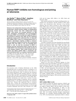 Human RAP1 inhibits nonhomologous end joining at telomeres