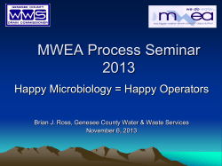 MWEA Process Seminar 2013