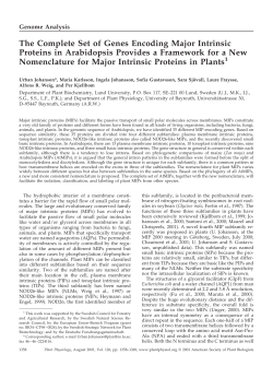 The Complete Set of Genes Encoding Major Intrinsic Proteins in