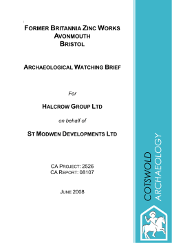 former britannia zinc works avonmouth bristol