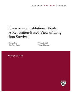 Overcoming Institutional Voids