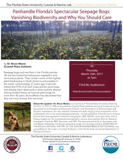 Panhandle Florida`s Spectacular Seepage Bogs