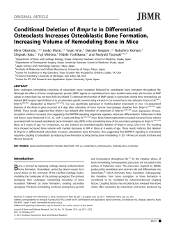 Conditional deletion of Bmpr1a in differentiated osteoclasts