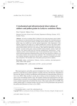 Cytochemical and ultrastructural observations of anthers and pollen