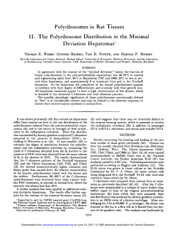 Polyribosomes in Rat Tissues II. The