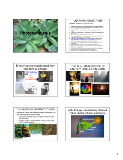 Photosynthesis