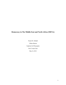 Democracy in The Middle East and North Africa (MENA)